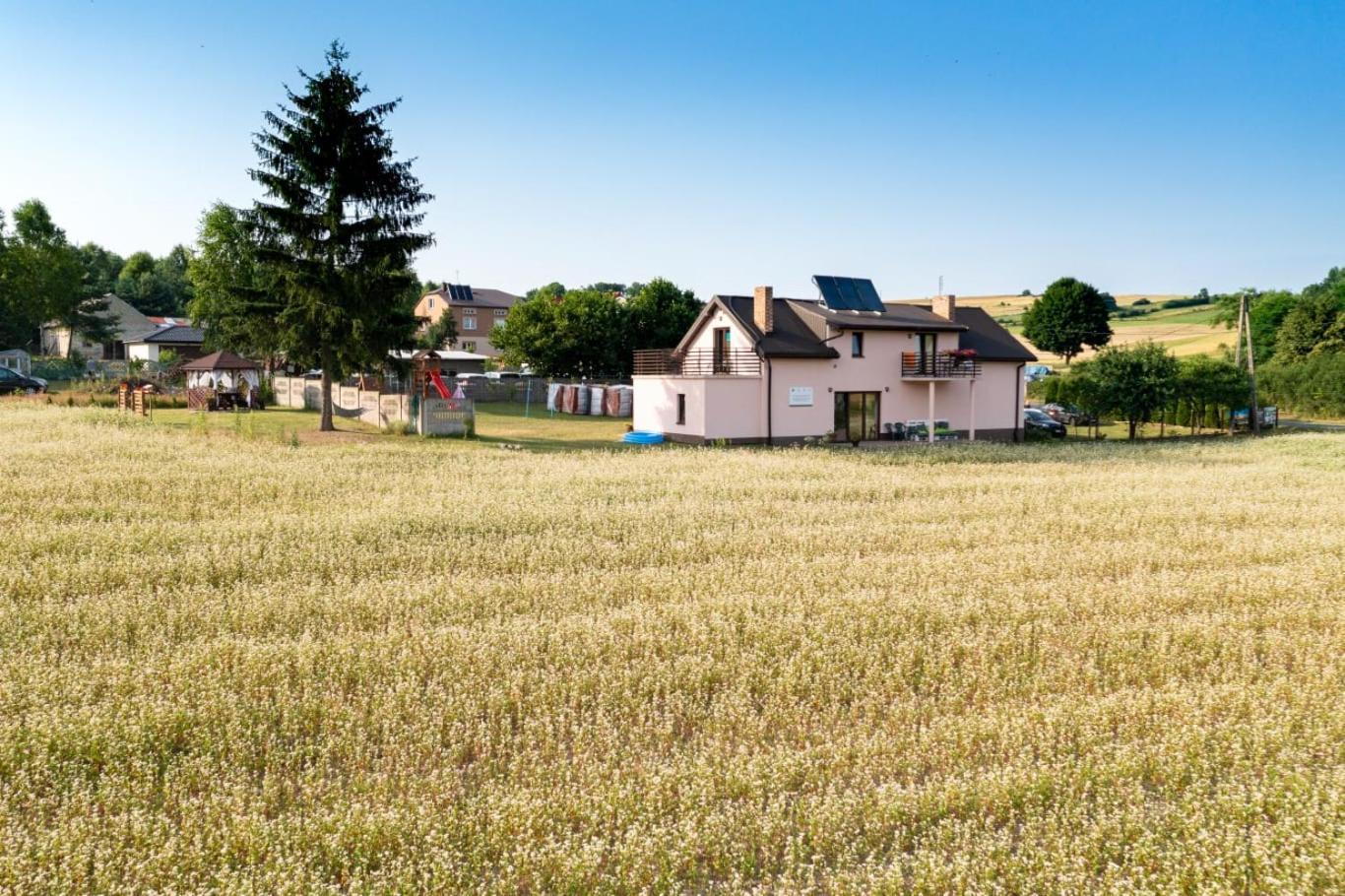 Jurajskie Pokoje Pod Lasem Bobolice (Myszkow) Exterior foto